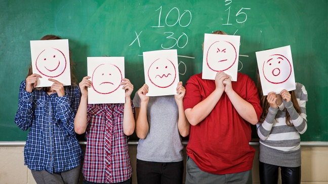 Reviews whole-class feedback wrong