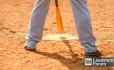 Stepping up to the plate